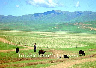 Sangke Prairie, Xiahe